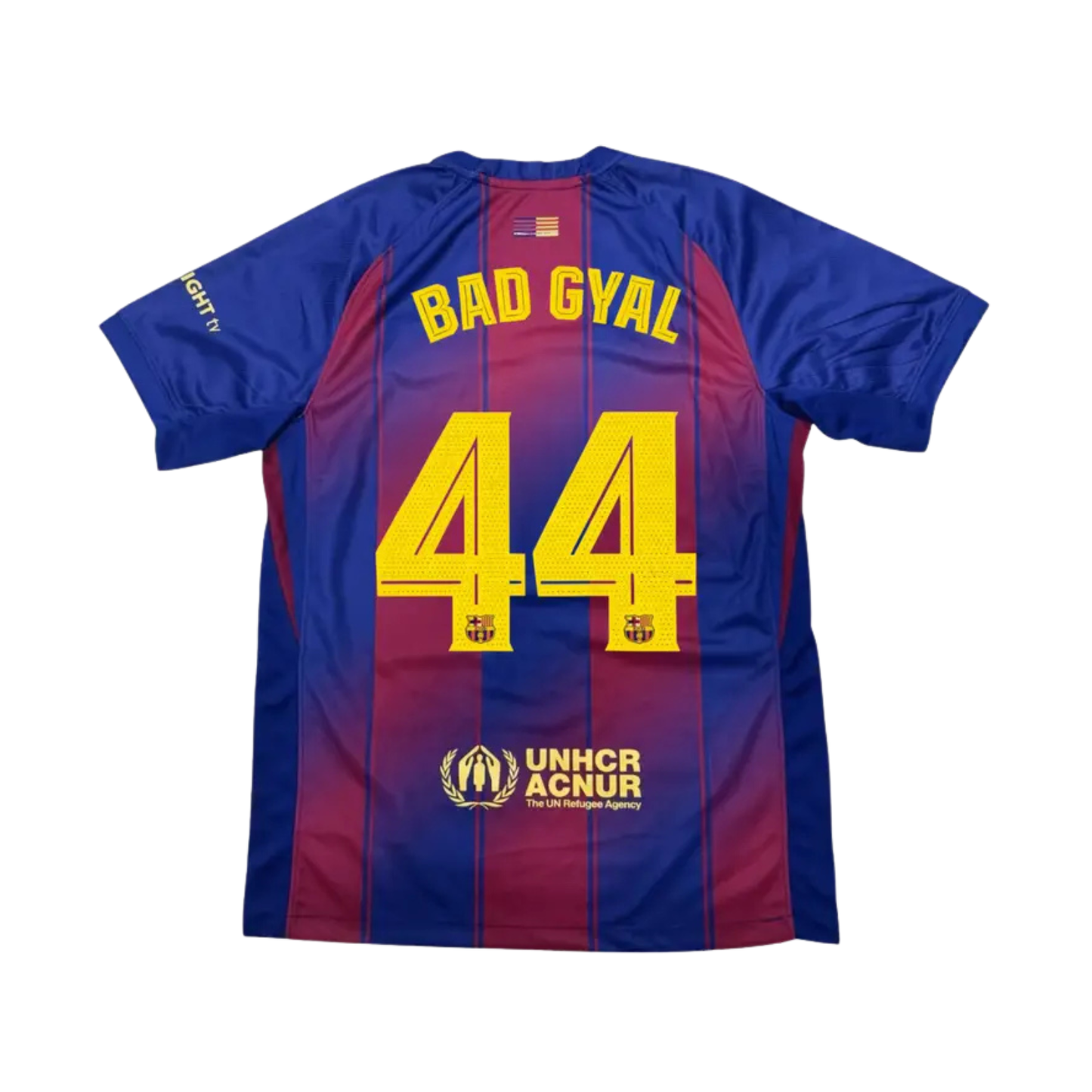 Camiseta Custom Badgyal