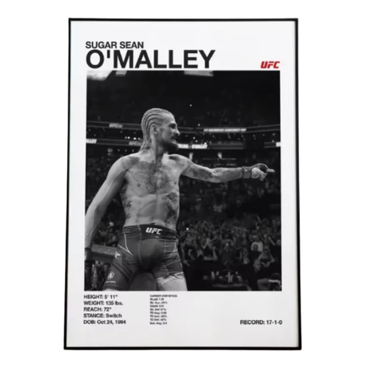 Sean O Malley Poster